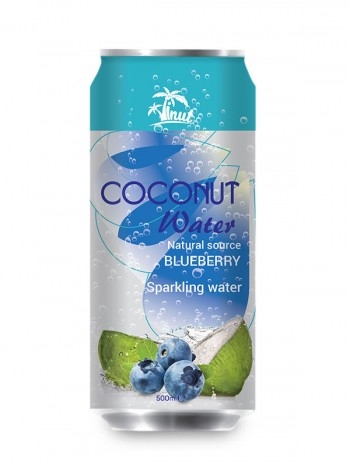 Kiwi Sparkling Coconut Water